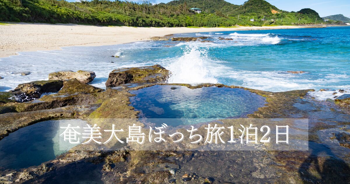 canvaアイキャッチ画像奄美大島　1泊2日