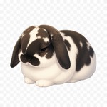 ポテちゃん