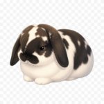ポテちゃん
